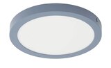LED-Deckenleuchte, rund, hellblau im aktuellen Höffner Prospekt