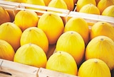 Netto Saint-Dionizy - Promo Melon Jaune et/ou Vert Promo Melon Jaune et/ou Vert à 1,79 € dans le catalogue Netto à Saint-Dionizy