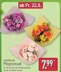 Pfingststrauß von Gardenline für 7,99 € bei ALDI Nord im Angebot Pfingststrauß von Gardenline im aktuellen ALDI Nord Prospekt