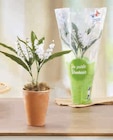 Muguet 2 Griffes - U en promo chez Super U Muguet 2 Griffes - U dans le catalogue Super U