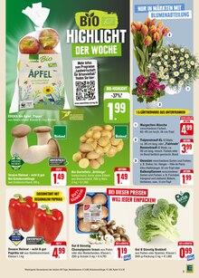 Gemüse im EDEKA Prospekt "Aktuelle Angebote" mit 42 Seiten (Ulm)