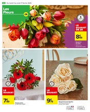 Plantes Angebote im Prospekt "Carrefour" von Carrefour auf Seite 34