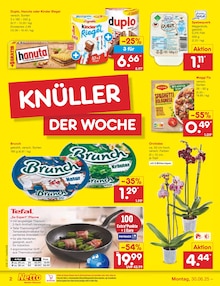 Netto Marken-Discount Prospekt Niebüll "Aktuelle Angebote" mit 58 Seiten
