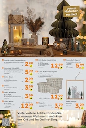 Weihnachtsdekoration Angebot im aktuellen Globus-Baumarkt Prospekt auf Seite 3