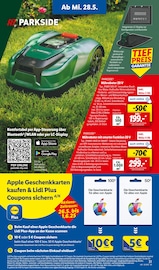 Aktueller Lidl Prospekt mit Benzinrasenmäher, "LIDL LOHNT SICH", Seite 37