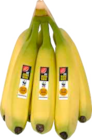 E aktiv markt Medelby - Bananen Angebot im Prospekt Bananen bei E aktiv markt im Medelby Prospekt für 1,11 €