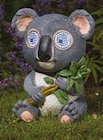 Solar-Koala im aktuellen Pflanzen Kölle Prospekt für 24,99 €
