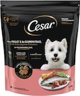 Hundefutter im Angebot bei REWE in Erkelenz Hundefutter Angebote von Cesar bei REWE Erkelenz für 5,49 €