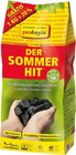Holzkohle oder Briketts im Angebot bei REWE in Bad Salzuflen Holzkohle oder Briketts Angebote von proFagus bei REWE Bad Salzuflen für 9,99 €