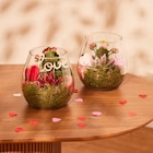 Promo Terrarium à 11,99 € dans le catalogue Carrefour à Créteil