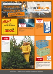 Aktueller Profi Ruhl Prospekt mit Pflanzen, "KOMPETENT. PERSÖNLICH. REGIONAL.", Seite 1