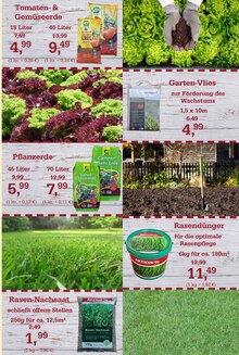 Tomaten im aktuellen Garten-Center Nordharz GmbH & Co. KG Prospekt (Kassel) Tomaten im Garten-Center Nordharz GmbH & Co. KG Prospekt "Frühling pflanzen. Ostern genießen." mit 16 Seiten (Kassel)