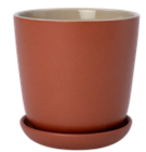 Topf Shai im Angebot bei Blumen Ostmann in Oldenburg Topf Shai Angebote bei Blumen Ostmann Oldenburg für 7,99 €