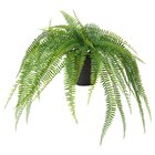 Topfpflanze, künstlich drinnen/draußen hängend/Farn von FEJKA im aktuellen IKEA Prospekt für 7,99 €