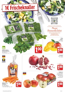 Salat im aktuellen E center Prospekt (Nürnberg) Salat im E center Prospekt "Wir lieben Lebensmittel!" mit 40 Seiten (Nürnberg)