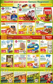 Aktueller Norma Prospekt mit Paderborner, "Mehr fürs Geld", Seite 13