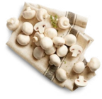 Aktuelles Kulturchampignons Angebot bei Kaufland in Köln ab 2,49 €