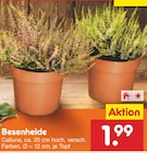Besenheide im aktuellen Prospekt bei Netto Marken-Discount in Feichten
