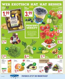 Wunderschne Marktkauf Prospekt Ratingen Fotos