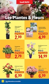 Verre Angebote im Prospekt "Profiter d'offres exclusives, ça vaut le coup." von Lidl Verre Angebote im Prospekt "Profiter d'offres exclusives, ça vaut le coup." von Lidl auf Seite 26