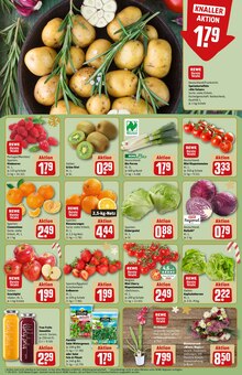 Pflanzen im aktuellen REWE Prospekt (Wiesbaden) Pflanzen im REWE Prospekt "Dein Markt" mit 27 Seiten (Wiesbaden)