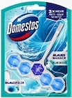 WC-Stein Power 5 im Angebot bei Kaufland in Halle WC-Stein Power 5 Angebote von Domestos bei Kaufland Halle für 1,00 €