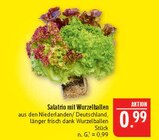 Salatrio mit Wurzelballen im Angebot bei Marktkauf in Altenburg Salatrio mit Wurzelballen Angebote bei Marktkauf Altenburg für 0,99 €