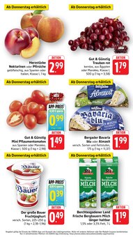 Joghurt im aktuellen EDEKA Prospekt (Darmstadt) Joghurt im EDEKA Prospekt "Aktuelle Angebote" mit 17 Seiten (Darmstadt)
