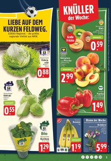 Pflanzen im aktuellen E center Prospekt (Solingen (Klingenstadt)) Pflanzen im E center Prospekt "Aktuelle Angebote" mit 28 Seiten (Solingen (Klingenstadt))
