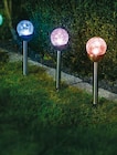 Hagebaumarkt Schwarzenbek - LED-Solarerdspieß "Viska" oder Akku „Mignon“ Angebot im Prospekt LED-Solarerdspieß "Viska" oder Akku „Mignon“ bei Hagebaumarkt im Schwarzenbek Prospekt für 2,99 €
