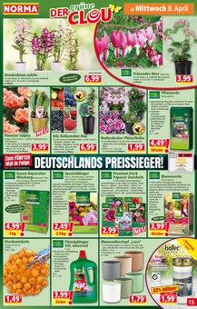 Kerzen im Norma Prospekt "Mehr fürs Geld" mit 19 Seiten (Würzburg)