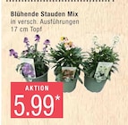 Marktkauf Otterndorf Prospekt mit  im Angebot für 5,99 €