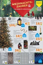 Weihnachtsbaum Angebot im aktuellen Globus-Baumarkt Prospekt auf Seite 2