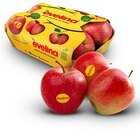 Deutschland rote Äpfel im Angebot bei Penny in Lutherstadt Wittenberg Deutschland rote Äpfel Angebote von EVELINA bei Penny Lutherstadt Wittenberg für 1,69 €