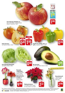 Paprika im aktuellen E center Prospekt (Freiburg (Breisgau)) Paprika im E center Prospekt "Aktuelle Angebote" mit 45 Seiten (Freiburg (Breisgau))