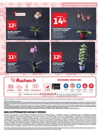 Offre Plante En Pot dans le catalogue Auchan Hypermarché du moment à la page 31