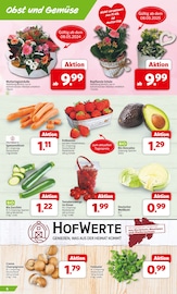 Erdbeeren im Markant Nordwest Prospekt in Garbsen Aktueller Markant Nordwest Prospekt mit Erdbeeren, "DER MARKT FÜR GUTES ESSEN UND TRINKEN", Seite 4