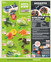 Kürbis im Marktkauf Prospekt in Witten Aktueller Marktkauf Prospekt mit Kürbis, "Aktuelle Angebote", Seite 3