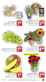 Aktueller EDEKA Prospekt mit Lavendel, "Aktuelle Angebote", Seite 10