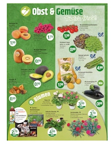 Gemüse im V-Markt Prospekt "V-Markt einfach besser einkaufen" mit 25 Seiten (Regensburg)