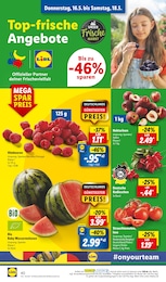 Bio Wassermelone Angebot im aktuellen Lidl Prospekt auf Seite 50
