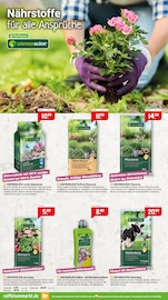 Blumenerde im Raiffeisenmarkt Prospekt in Rheine Aktueller Raiffeisenmarkt Prospekt mit Blumenerde, "Gartenzeit & Spielspaß Wohlfühlen für alle", Seite 4