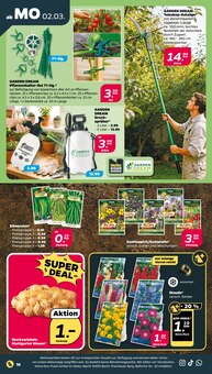 Pflanzen im Netto mit dem Scottie Prospekt "Günstig. Besser. Für Dich." mit 38 Seiten (Rostock)