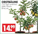 Obstbäume Angebote bei Wreesmann Dessau-Roßlau für 14,99 €