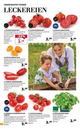 Tomatenpflanze Angebot im aktuellen Dehner Garten-Center Prospekt auf Seite 4