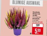 Besenheide Beauty Lady Six-Mix Angebote bei Marktkauf Rottenburg für 5,99 €
