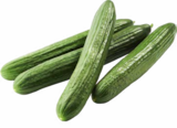Gurken Angebote bei Netto Marken-Discount Dinslaken für 0,49 €
