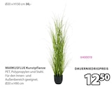 MARKUSFLUE Kunstpflanze  im aktuellen JYSK Prospekt für 12,50 €
