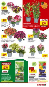 Blumenerde im toom Baumarkt Prospekt "Respekt, wer's selber macht." mit 20 Seiten (Moers)