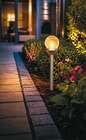 LED-Solar-Glaskugellampe für 5,99 € bei Netto mit dem Scottie im Angebot LED-Solar-Glaskugellampe im aktuellen Netto mit dem Scottie Prospekt